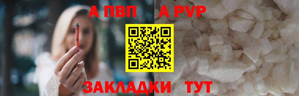Alfa_PVP СК Орехово-Зуево