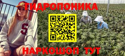 не бодяженный Славянск-на-Кубани