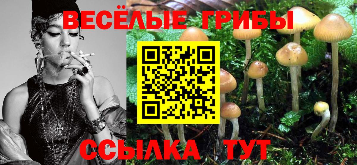Галлюциногенные грибы GOLDEN TEACHER Орехово-Зуево